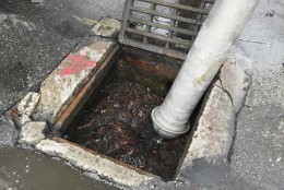 Αποφράξεις φρεατίων Ηλιούπολη